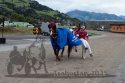 Dateiname=20251005_r07_169_R07_0264.jpg
Dateigröße=317KB
Abmessungen: 1000x667
hinzugefügt am: 06. Oktober 2025 20251005_r07_169_R07_0264.jpg