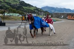 Dateiname=20251005_r07_170_R07_0265.jpg
Dateigröße=323KB
Abmessungen: 1000x667
hinzugefügt am: 06. Oktober 2025 20251005_r07_170_R07_0265.jpg