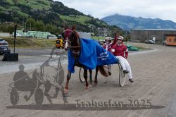 Dateiname=20251005_r07_171_R07_0266.jpg
Dateigröße=331KB
Abmessungen: 1000x667
hinzugefügt am: 06. Oktober 2025 20251005_r07_171_R07_0266.jpg