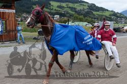 Dateiname=20251005_r07_179_R07_0274.jpg
Dateigröße=356KB
Abmessungen: 1000x667
hinzugefügt am: 06. Oktober 2025 20251005_r07_179_R07_0274.jpg