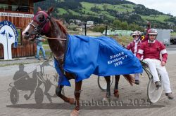 Dateiname=20251005_r07_180_R07_0275.jpg
Dateigröße=360KB
Abmessungen: 1000x667
hinzugefügt am: 06. Oktober 2025 20251005_r07_180_R07_0275.jpg