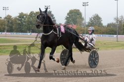 Dateiname=20251009_r02_006_R02_0028.jpg
Dateigröße=286KB
Abmessungen: 1000x667
hinzugefügt am: 09. Oktober 2025 20251009_r02_006_R02_0028.jpg