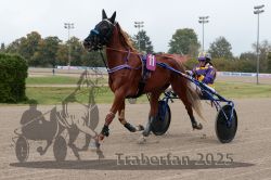 Dateiname=20251009_r02_021_R02_0082.jpg
Dateigröße=288KB
Abmessungen: 1000x667
hinzugefügt am: 09. Oktober 2025 20251009_r02_021_R02_0082.jpg