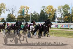 Dateiname=20251009_r02_080_R02_0277.jpg
Dateigröße=355KB
Abmessungen: 1000x667
hinzugefügt am: 09. Oktober 2025 20251009_r02_080_R02_0277.jpg