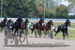 Dateiname=20251009_r02_103_R02_0369.jpg
Dateigröße=337KB
Abmessungen: 1000x667
hinzugefügt am: 09. Oktober 2025 20251009_r02_103_R02_0369.jpg