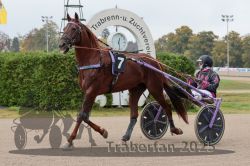 Dateiname=20251009_r04_002_R04_0008.jpg
Dateigröße=307KB
Abmessungen: 1000x667
hinzugefügt am: 09. Oktober 2025 20251009_r04_002_R04_0008.jpg