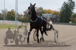 Dateiname=20251009_r04_003_R04_0031.jpg
Dateigröße=285KB
Abmessungen: 1000x667
hinzugefügt am: 09. Oktober 2025 20251009_r04_003_R04_0031.jpg