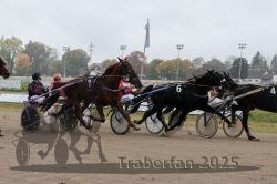 Dateiname=20251009_r04_080_R04_0299.jpg
Dateigröße=247KB
Abmessungen: 1000x667
hinzugefügt am: 09. Oktober 2025 20251009_r04_080_R04_0299.jpg