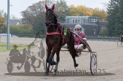 Dateiname=20251009_r05_011_R05_0063.jpg
Dateigröße=287KB
Abmessungen: 1000x667
hinzugefügt am: 09. Oktober 2025 20251009_r05_011_R05_0063.jpg