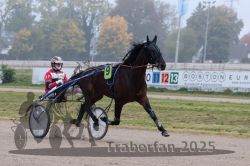 Dateiname=20251009_r05_047_R05_0199.jpg
Dateigröße=269KB
Abmessungen: 1000x667
hinzugefügt am: 09. Oktober 2025 20251009_r05_047_R05_0199.jpg