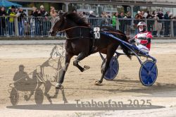 Dateiname=20251012_r01_163_R01_0536.jpg
Dateigröße=336KB
Abmessungen: 1000x667
hinzugefügt am: 14. Oktober 2025 20251012_r01_163_R01_0536.jpg