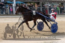 Dateiname=20251012_r01_164_R01_0538.jpg
Dateigröße=337KB
Abmessungen: 1000x667
hinzugefügt am: 14. Oktober 2025 20251012_r01_164_R01_0538.jpg