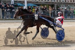 Dateiname=20251012_r01_165_R01_0539.jpg
Dateigröße=325KB
Abmessungen: 1000x667
hinzugefügt am: 14. Oktober 2025 20251012_r01_165_R01_0539.jpg