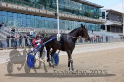 Dateiname=20251012_r01_168_CR5_0007.jpg
Dateigröße=355KB
Abmessungen: 1000x667
hinzugefügt am: 14. Oktober 2025 20251012_r01_168_CR5_0007.jpg