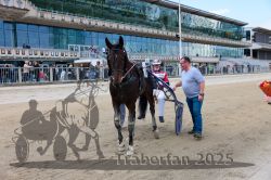 Dateiname=20251012_r01_169_CR5_0009.jpg
Dateigröße=368KB
Abmessungen: 1000x667
hinzugefügt am: 14. Oktober 2025 20251012_r01_169_CR5_0009.jpg