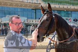 Dateiname=20251012_r01_177_CR5_0025.jpg
Dateigröße=282KB
Abmessungen: 1000x667
hinzugefügt am: 14. Oktober 2025 20251012_r01_177_CR5_0025.jpg