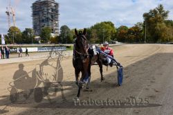 Dateiname=20251012_r01_179_CR5_0029.jpg
Dateigröße=352KB
Abmessungen: 1000x667
hinzugefügt am: 14. Oktober 2025 20251012_r01_179_CR5_0029.jpg