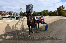 Dateiname=20251012_r01_180_CR5_0030.jpg
Dateigröße=345KB
Abmessungen: 1000x667
hinzugefügt am: 14. Oktober 2025 20251012_r01_180_CR5_0030.jpg