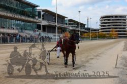 Dateiname=20251012_r04_130_CR5_0114.jpg
Dateigröße=315KB
Abmessungen: 1000x667
hinzugefügt am: 14. Oktober 2025 20251012_r04_130_CR5_0114.jpg