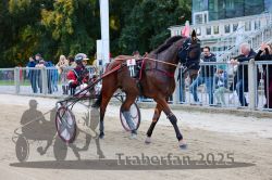 Dateiname=20251012_r04_145_CR5_0150.jpg
Dateigröße=362KB
Abmessungen: 1000x667
hinzugefügt am: 14. Oktober 2025 20251012_r04_145_CR5_0150.jpg