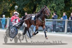 Dateiname=20251012_r05_003_R05_0011.jpg
Dateigröße=329KB
Abmessungen: 1000x667
hinzugefügt am: 14. Oktober 2025 20251012_r05_003_R05_0011.jpg