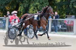 Dateiname=20251012_r05_004_R05_0015.jpg
Dateigröße=323KB
Abmessungen: 1000x667
hinzugefügt am: 14. Oktober 2025 20251012_r05_004_R05_0015.jpg