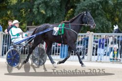 Dateiname=20251012_r05_010_R05_0041.jpg
Dateigröße=313KB
Abmessungen: 1000x667
hinzugefügt am: 14. Oktober 2025 20251012_r05_010_R05_0041.jpg