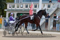 Dateiname=20251012_r05_013_R05_0059.jpg
Dateigröße=314KB
Abmessungen: 1000x667
hinzugefügt am: 14. Oktober 2025 20251012_r05_013_R05_0059.jpg