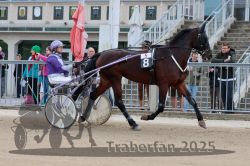 Dateiname=20251012_r05_014_R05_0063.jpg
Dateigröße=319KB
Abmessungen: 1000x667
hinzugefügt am: 14. Oktober 2025 20251012_r05_014_R05_0063.jpg