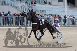 Dateiname=20251012_r05_025_R05_0110.jpg
Dateigröße=289KB
Abmessungen: 1000x667
hinzugefügt am: 14. Oktober 2025 20251012_r05_025_R05_0110.jpg