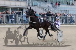 Dateiname=20251012_r05_027_R05_0114.jpg
Dateigröße=287KB
Abmessungen: 1000x667
hinzugefügt am: 14. Oktober 2025 20251012_r05_027_R05_0114.jpg