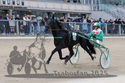 Dateiname=20251012_r05_031_R05_0125.jpg
Dateigröße=281KB
Abmessungen: 1000x667
hinzugefügt am: 14. Oktober 2025 20251012_r05_031_R05_0125.jpg