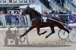 Dateiname=20251012_r05_044_R05_0158.jpg
Dateigröße=273KB
Abmessungen: 1000x667
hinzugefügt am: 14. Oktober 2025 20251012_r05_044_R05_0158.jpg