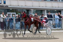 Dateiname=20251012_r05_050_R05_0178.jpg
Dateigröße=294KB
Abmessungen: 1000x667
hinzugefügt am: 14. Oktober 2025 20251012_r05_050_R05_0178.jpg