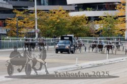 Dateiname=20251012_r05_058_R05_0200.jpg
Dateigröße=348KB
Abmessungen: 1000x667
hinzugefügt am: 14. Oktober 2025 20251012_r05_058_R05_0200.jpg