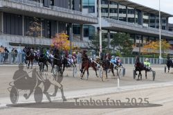 Dateiname=20251012_r05_060_R05_0207.jpg
Dateigröße=322KB
Abmessungen: 1000x667
hinzugefügt am: 14. Oktober 2025 20251012_r05_060_R05_0207.jpg