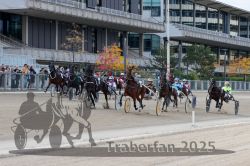 Dateiname=20251012_r05_061_R05_0209.jpg
Dateigröße=337KB
Abmessungen: 1000x667
hinzugefügt am: 14. Oktober 2025 20251012_r05_061_R05_0209.jpg