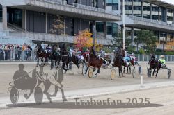 Dateiname=20251012_r05_062_R05_0210.jpg
Dateigröße=334KB
Abmessungen: 1000x667
hinzugefügt am: 14. Oktober 2025 20251012_r05_062_R05_0210.jpg