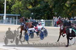 Dateiname=20251012_r05_073_R05_0249.jpg
Dateigröße=341KB
Abmessungen: 1000x667
hinzugefügt am: 14. Oktober 2025 20251012_r05_073_R05_0249.jpg