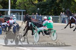 Dateiname=20251012_r05_075_R05_0255.jpg
Dateigröße=345KB
Abmessungen: 1000x667
hinzugefügt am: 14. Oktober 2025 20251012_r05_075_R05_0255.jpg