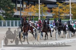 Dateiname=20251012_r05_079_R05_0270.jpg
Dateigröße=324KB
Abmessungen: 1000x667
hinzugefügt am: 14. Oktober 2025 20251012_r05_079_R05_0270.jpg