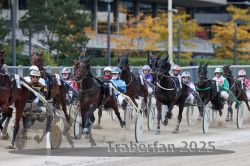 Dateiname=20251012_r05_082_R05_0282.jpg
Dateigröße=327KB
Abmessungen: 1000x667
hinzugefügt am: 14. Oktober 2025 20251012_r05_082_R05_0282.jpg