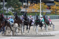 Dateiname=20251012_r05_084_R05_0289.jpg
Dateigröße=298KB
Abmessungen: 1000x667
hinzugefügt am: 14. Oktober 2025 20251012_r05_084_R05_0289.jpg