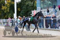 Dateiname=20251012_r05_093_CR5_0250.jpg
Dateigröße=379KB
Abmessungen: 1000x667
hinzugefügt am: 14. Oktober 2025 20251012_r05_093_CR5_0250.jpg