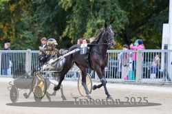 Dateiname=20251012_r06_002_R06_0011.jpg
Dateigröße=307KB
Abmessungen: 1000x667
hinzugefügt am: 14. Oktober 2025 20251012_r06_002_R06_0011.jpg