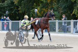 Dateiname=20251012_r06_004_R06_0018.jpg
Dateigröße=291KB
Abmessungen: 1000x667
hinzugefügt am: 14. Oktober 2025 20251012_r06_004_R06_0018.jpg