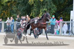 Dateiname=20251012_r06_011_R06_0054.jpg
Dateigröße=332KB
Abmessungen: 1000x667
hinzugefügt am: 14. Oktober 2025 20251012_r06_011_R06_0054.jpg