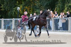 Dateiname=20251012_r06_013_R06_0062.jpg
Dateigröße=300KB
Abmessungen: 1000x667
hinzugefügt am: 14. Oktober 2025 20251012_r06_013_R06_0062.jpg