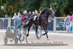 Dateiname=20251012_r06_014_R06_0067.jpg
Dateigröße=308KB
Abmessungen: 1000x667
hinzugefügt am: 14. Oktober 2025 20251012_r06_014_R06_0067.jpg