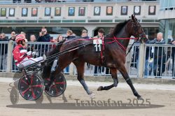 Dateiname=20251012_r06_020_R06_0097.jpg
Dateigröße=325KB
Abmessungen: 1000x667
hinzugefügt am: 14. Oktober 2025 20251012_r06_020_R06_0097.jpg